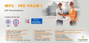 mfg ind pagm I