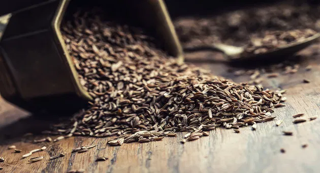 Benefits of Cumin (Jira)