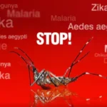 This monsoon stay away from malaria and other diseases