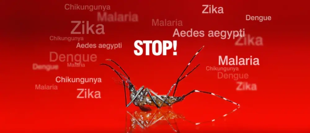 This monsoon stay away from malaria and other diseases