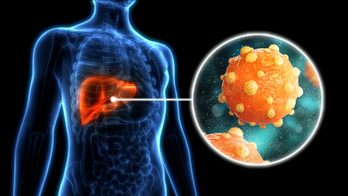 Learn More About Hepatitis