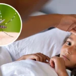 Beware of Dengue Fever