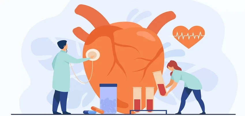 High Sensitive C-Reactive Protein (hs-CRP) Test