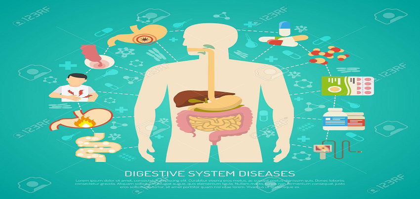 Inflammatory Bowel Disease (IBD)