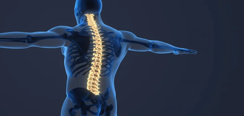 CT Scan Spiral Whole Spine