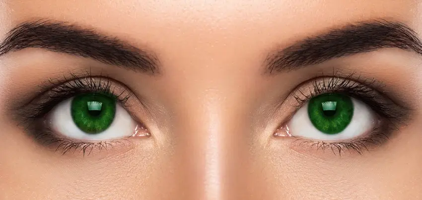 Lid Imbrication Syndrome