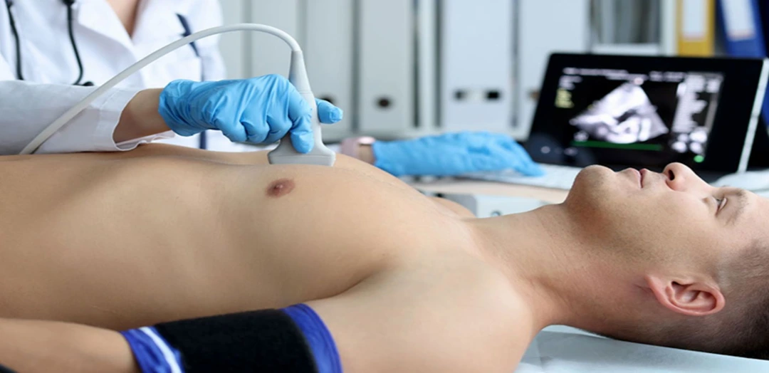 2D Echo Test (2D Echocardiography)